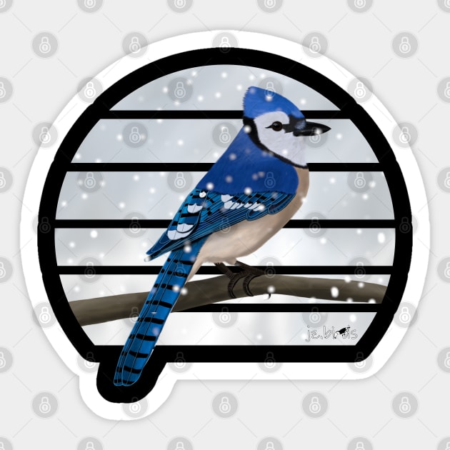 Blue Jay Winter Snow Bird Watching Birding Ornithologist Gift Sticker by jzbirds